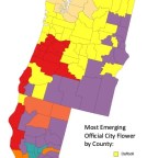 Warrenton City Commission Selects the Daffodil as its Offical City Flower in Highly Politicized Move